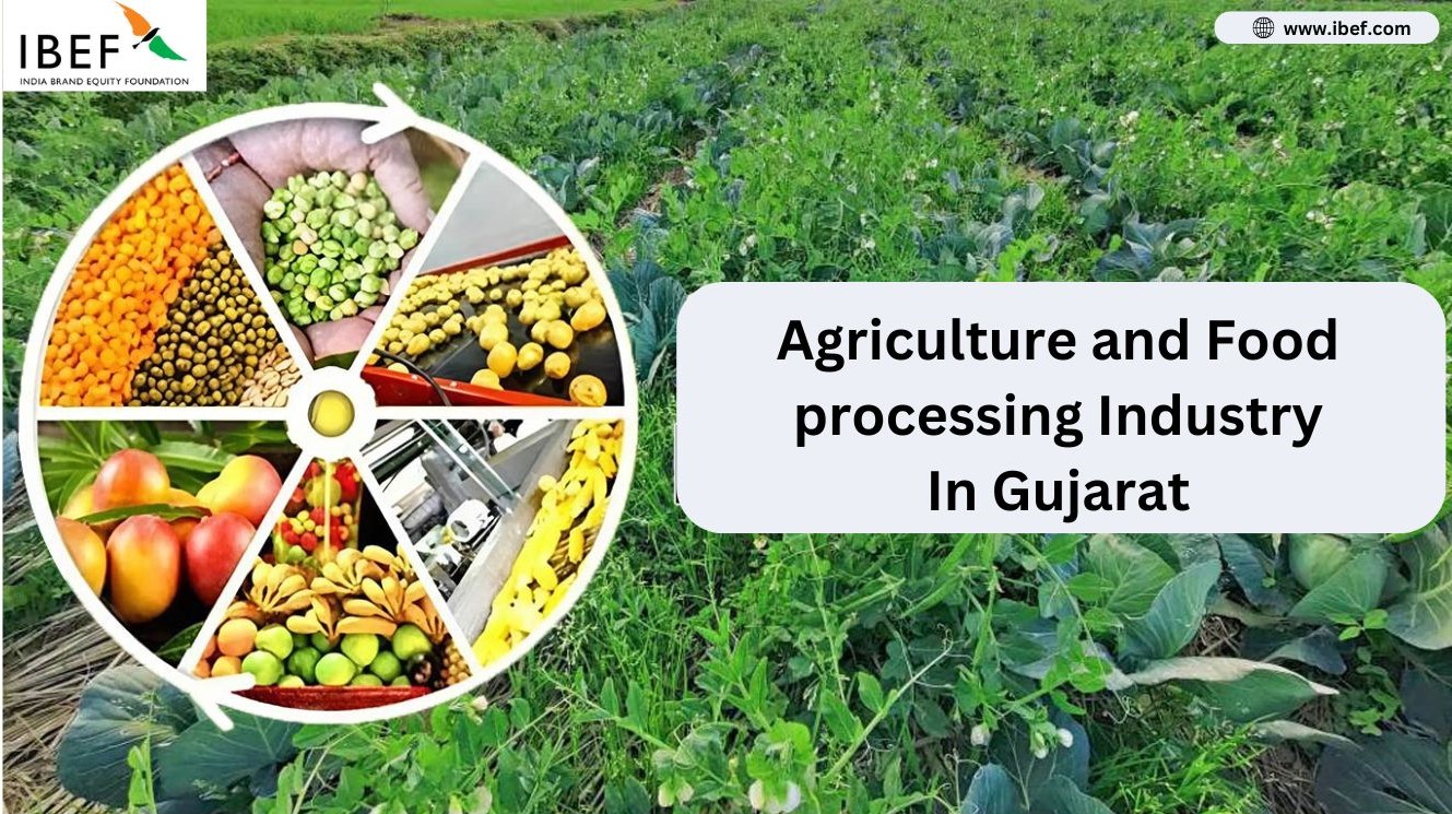 Food processing industry in gujarat
